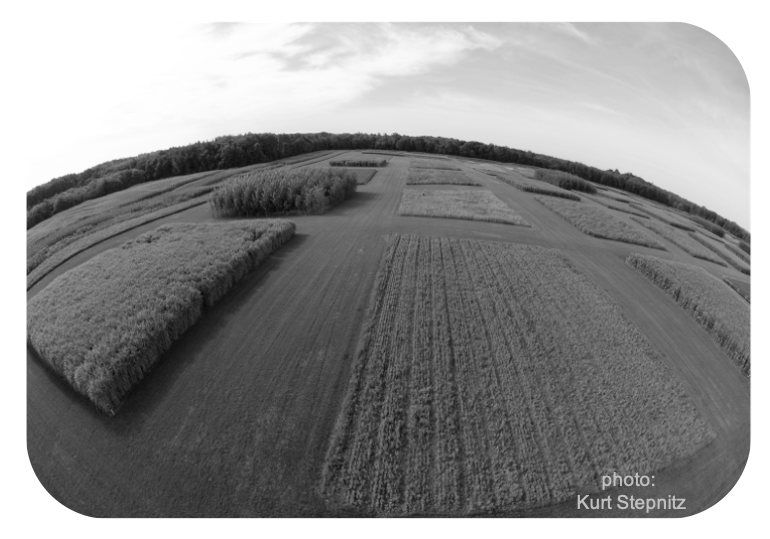 Jay T Lennon (@jaytlennon) on Twitter photo Postdoc available <a href="/IUBiology/">IU Biology</a>:
“Plant-Soil Microbiomes and Environmental Change”
Collaborative <a href="/NSF/">U.S. National Science Foundation</a>-funded project with our group along with <a href="/JenLauEvoEco/">Jennifer Lau</a> and <a href="/evanssarahe/">Sarah Evans</a>
Apply here: indiana.peopleadmin.com/postings/17693 Postdoc available <a href="/IUBiology/">IU Biology</a>:
“Plant-Soil Microbiomes and Environmental Change”
Collaborative <a href="/NSF/">U.S. National Science Foundation</a>-funded project with our group along with <a href="/JenLauEvoEco/">Jennifer Lau</a> and <a href="/evanssarahe/">Sarah Evans</a>
Apply here: indiana.peopleadmin.com/postings/17693