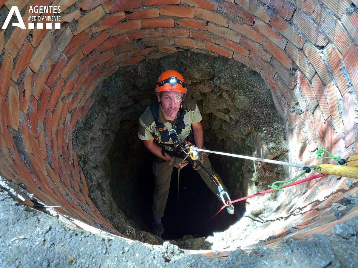 JJoaquinAniceto's tweet photo. 6'. o unidades especializadas como los compañeros y compañeras que conforman la Unidad Vertical de Conservación Ambiental #UVCA, que realizan actuaciones específicas en trabajos verticales; ... https://t.co/vC7TTlXN14
