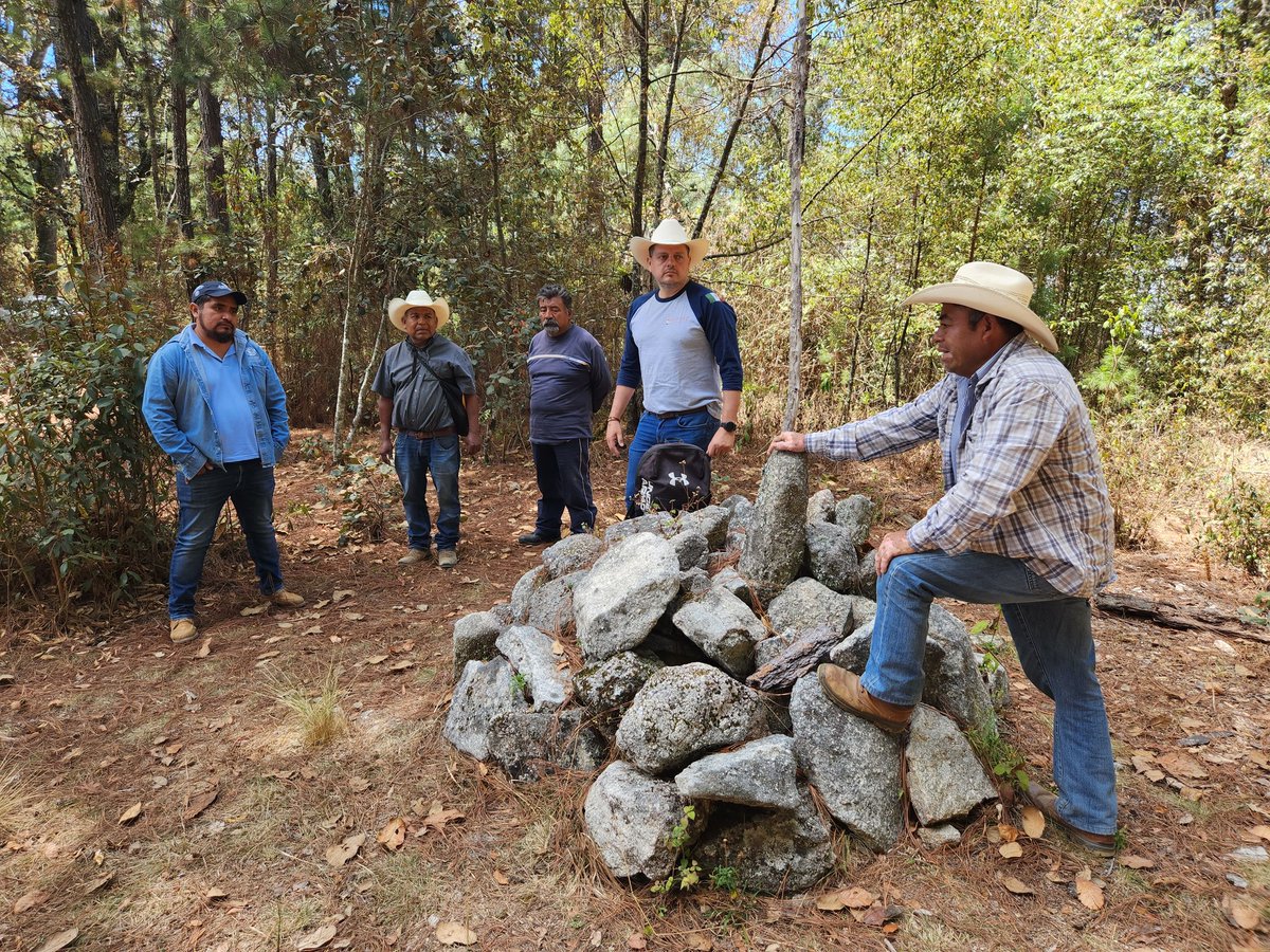 ppavel77's tweet photo. Hoy en Santo Tomás Mazaltepec #Etla #Oaxaca en compañia de Comisariado de Bienes Comuales visitanos el paraje conocido como "El Gualache/Cerro del Venado", ubicado en su zona de Bosque, una importante zona para la captación de agua y recarga del acuífero en los Valles Centrale. https://t.co/mVtnYPaBDi