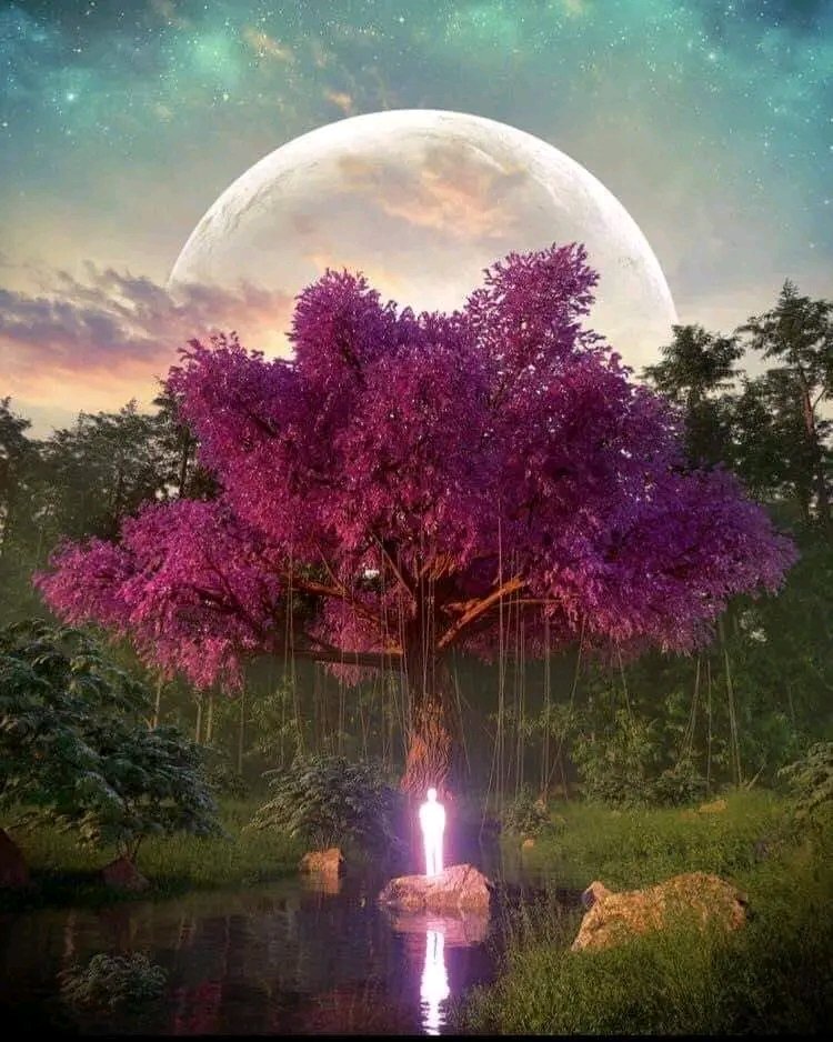 اللهم افرجها يا الله وحلها يا حلال العقد. ببركة شهر الخير. يا الله 🤲🏻