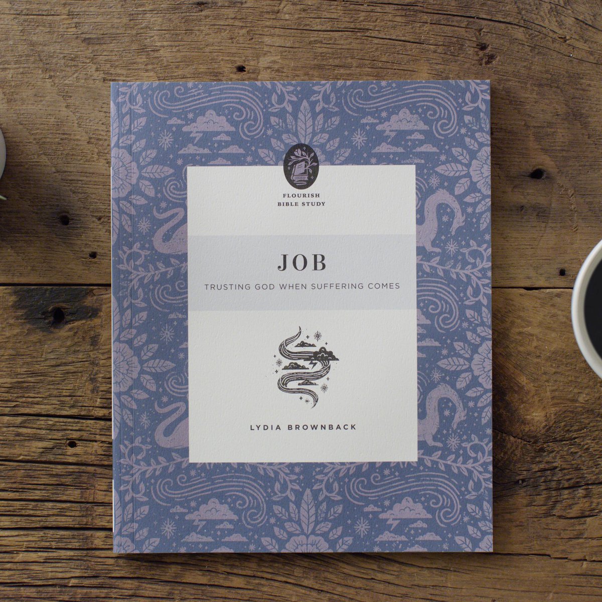 In this 10-week Bible study for women, <a href="/LydiaBrownback/">Lydia Brownback</a> presents an in-depth, exegetical look at the book of Job, helping readers explore topics including faith, doubt, and God’s sovereignty in a suffering world.

crossway.org/JobFBS