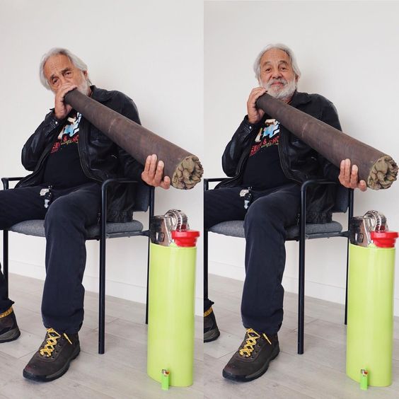 Herbworthy's tweet photo. Mood. @tommychong 🔥

Read: https://t.co/76hzIw91VH https://t.co/etWSzTfvFA