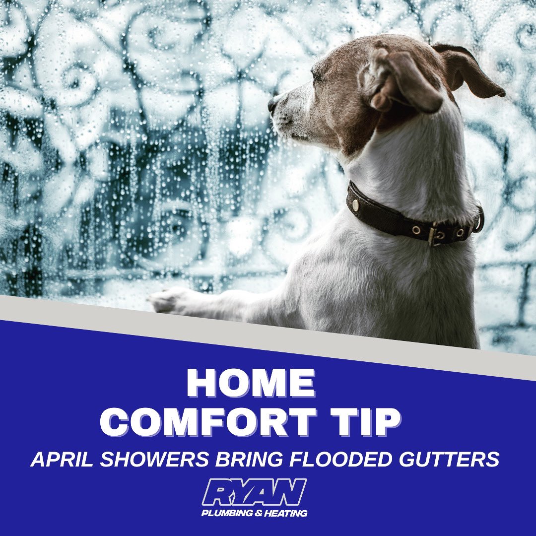 RyanService's tweet image. April Showers Bring Flooded Gutters ☔️

Make sure to clean your gutters &amp;amp; direct the downspout away from your house to prevent flooding. 

#flood #water #house #plumbing #spring #maintenance #comfort #tips #service #homeownership #rochesterny #rain #aprilshowers