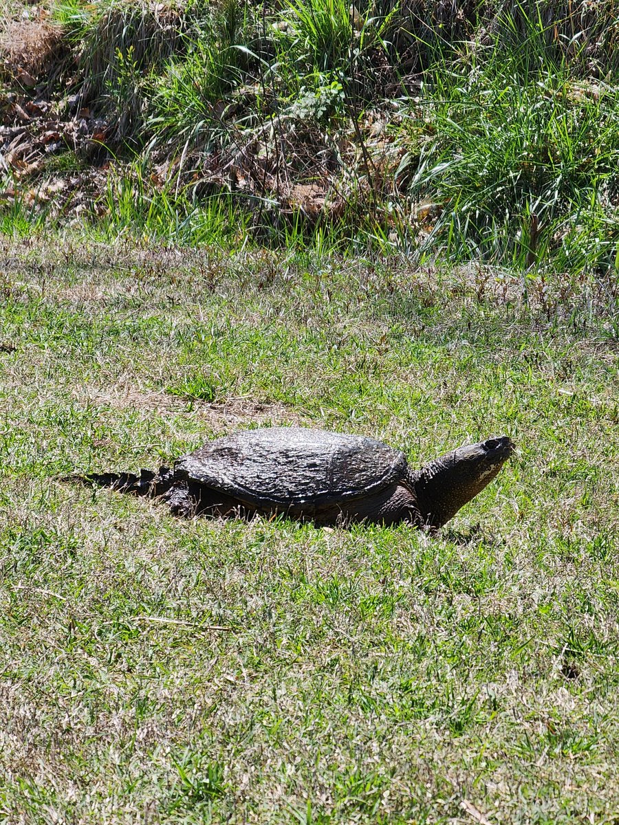 Andy Nekrich tweet media