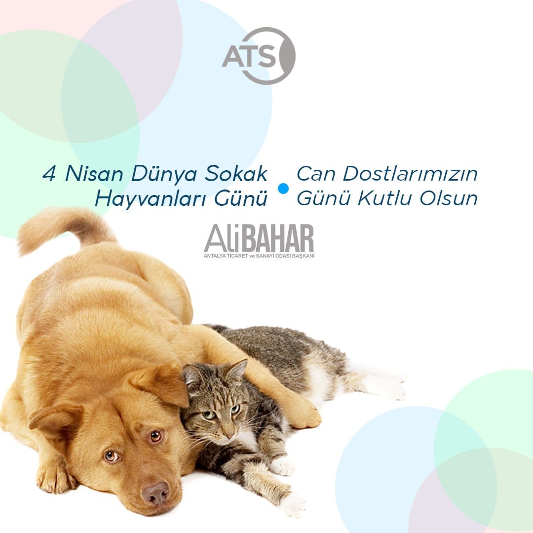 Onlar bizim can dostlarımız...