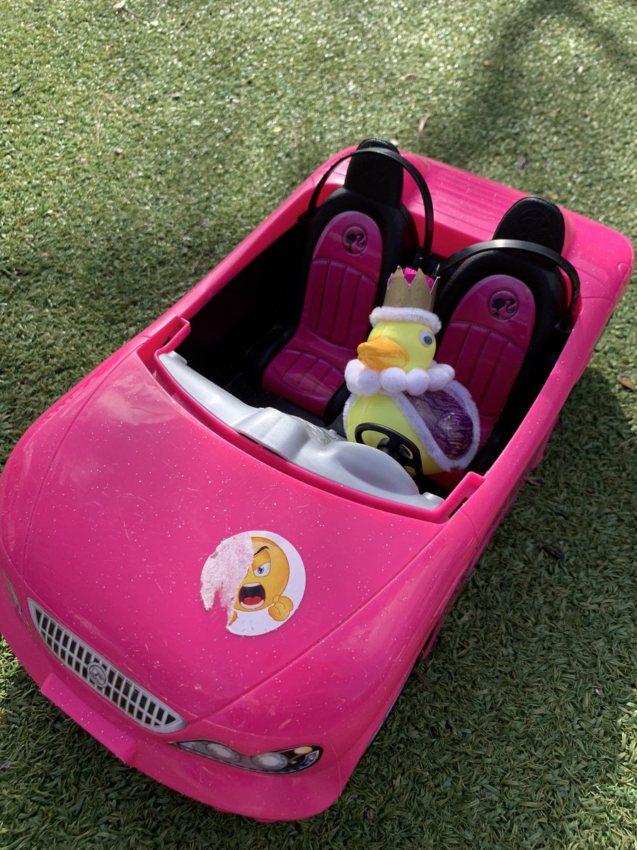BandonHillGLT's tweet photo. As the sun is shining, King Greg of Jeffers decided to go for a drive with the roof down….!
#pointers #duckontour https://t.co/2Jk705LydJ