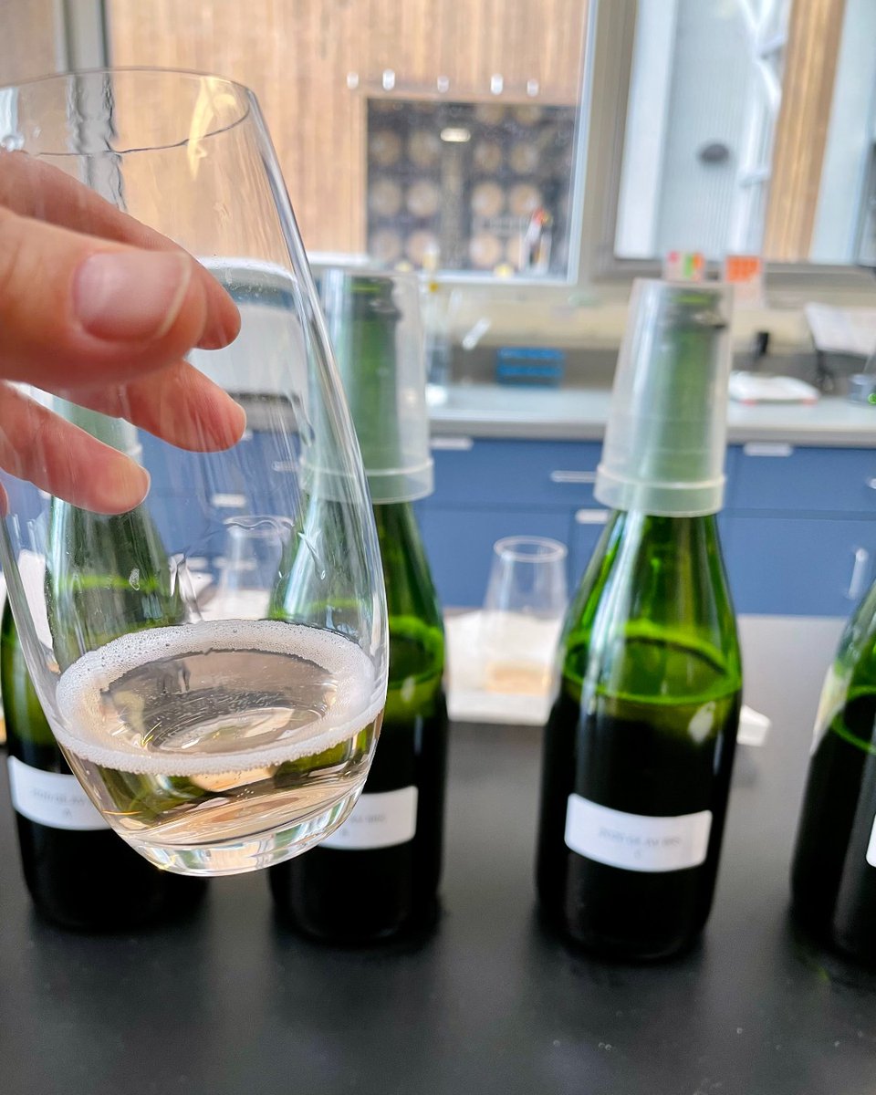 Earlier this month Winemaker Kristen McMahan chose the final dosage level for our 2020 Anderson Valley Brut Rosé!