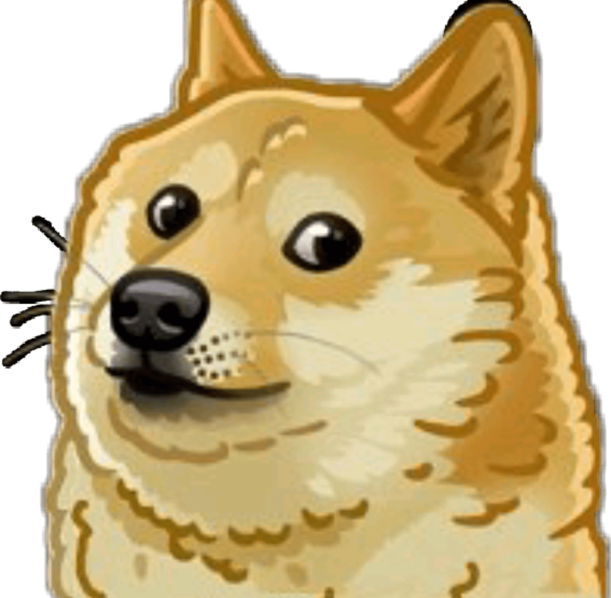 Cryptocurrency surges as Elon Musk changes Twitter logo to ‘meme dog’