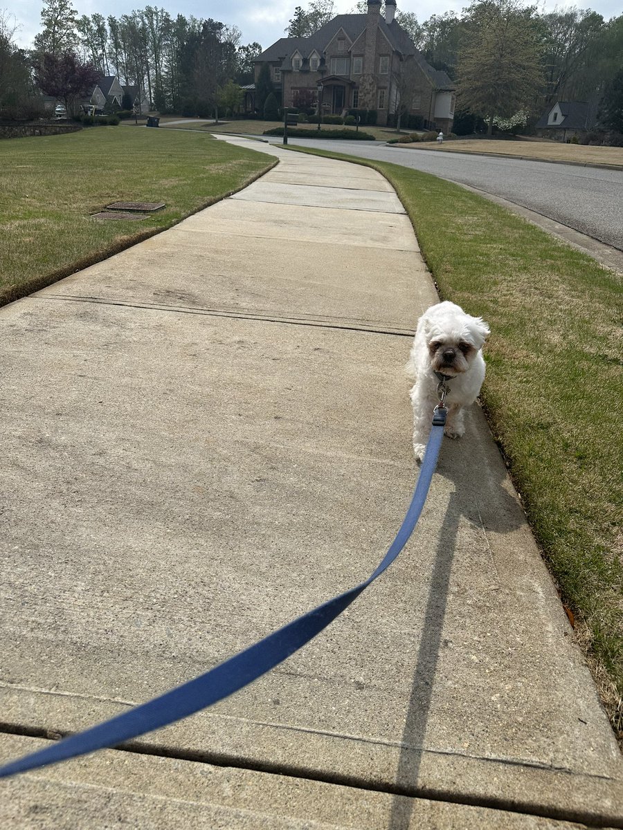 Hot dog walk. Gotta keep up this hourglass figure