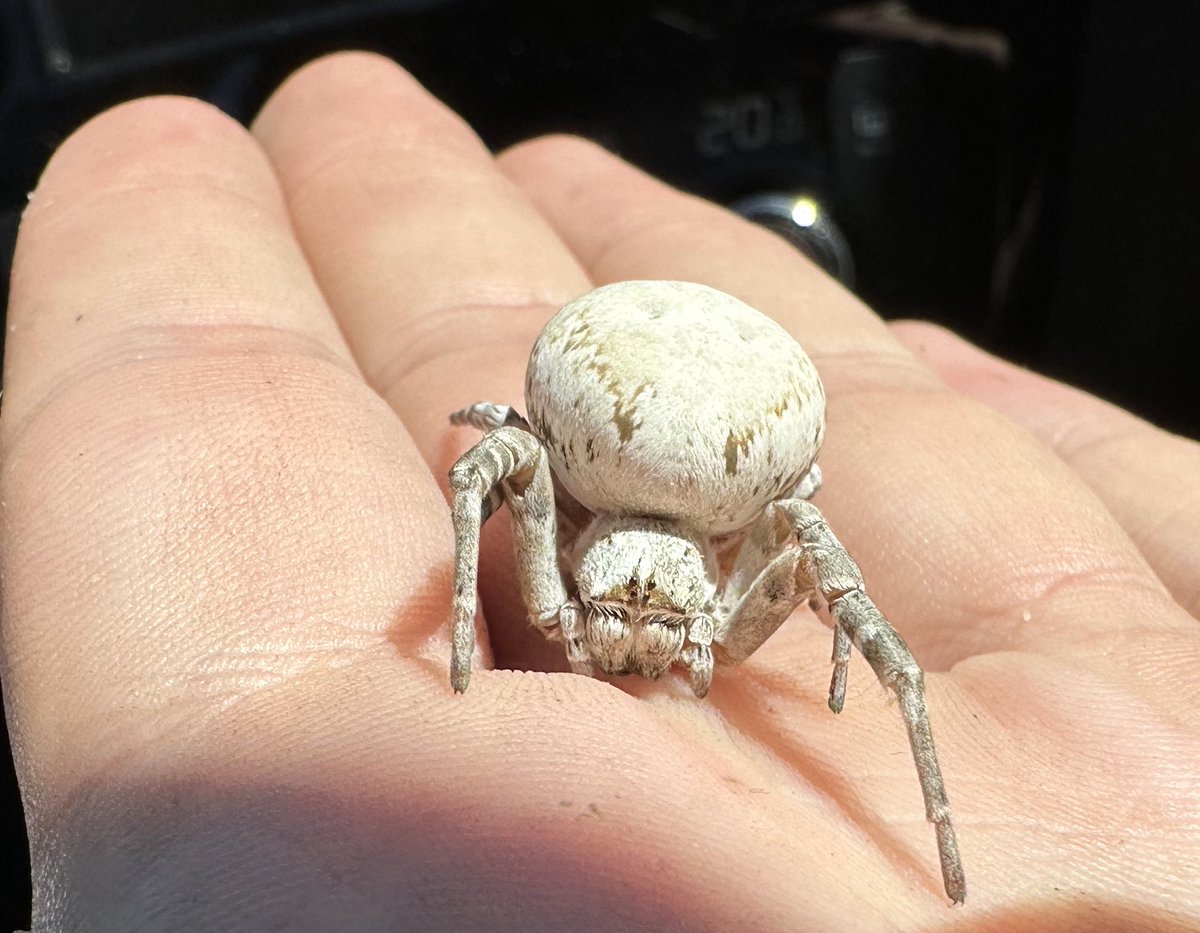 Steven Cassidy tweet media