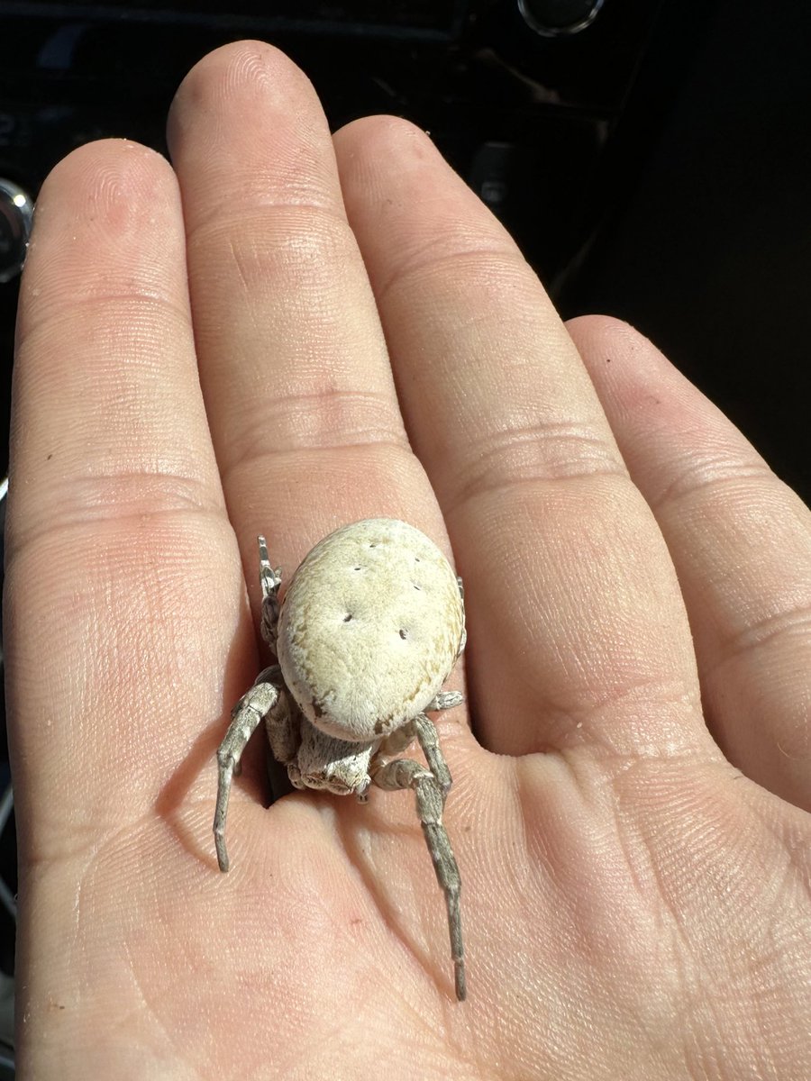 Steven Cassidy tweet media