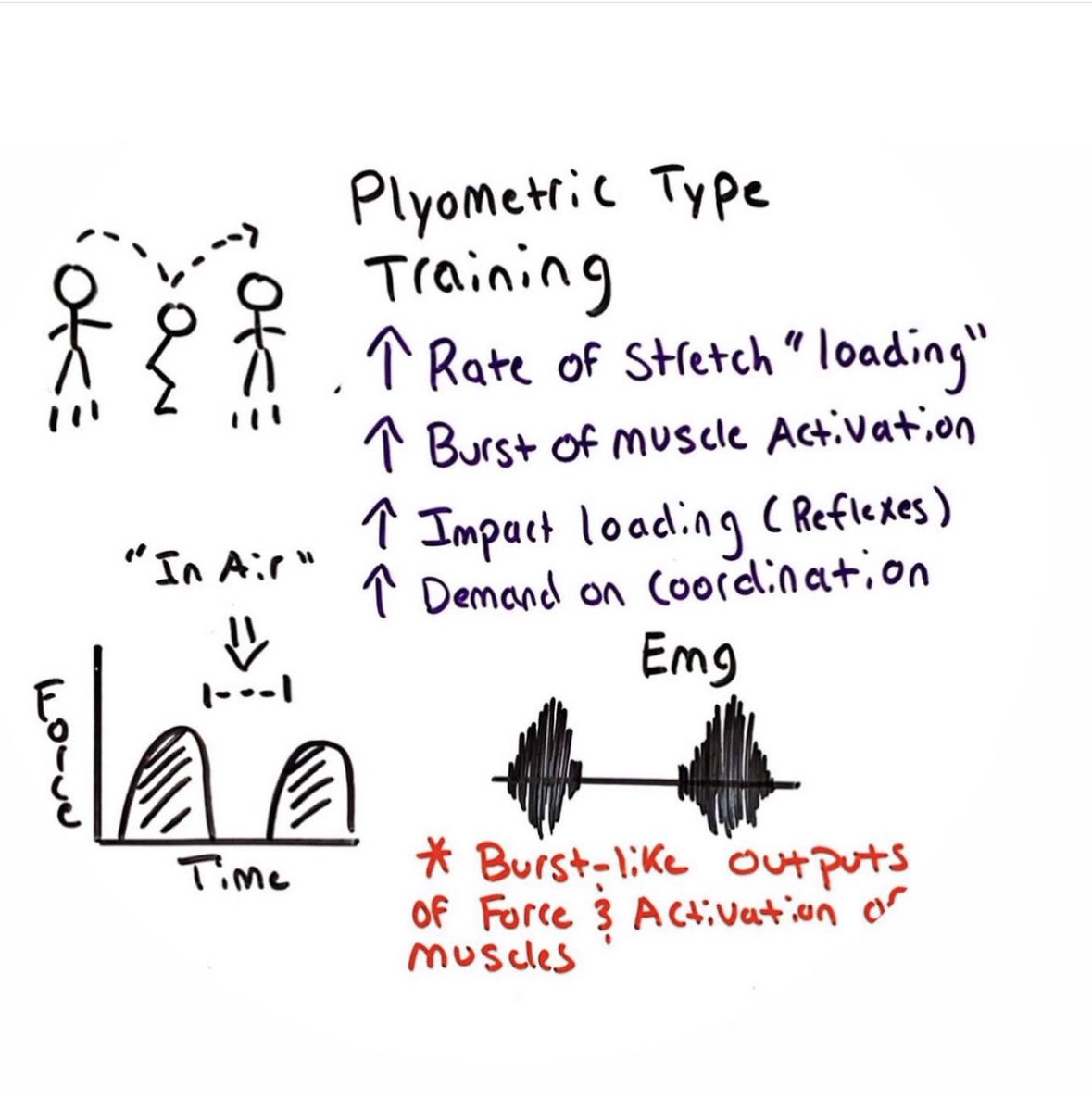 strong_science's tweet photo. Lots of people ask “what is a Plyometric” and in short it’s exercise that trains the stretch shortening cycle 

Plyometrics fall on a spectrum of intense to less intense movements 

The title is not just reserved for intense actions, but based on the original researchers on this topic plyometrics can be used to describe a large variety of movements 

There are some key phases of a Plyometric that should be considered 

“The fall” 
“the Impact”
“The braking”
“The propulsion”

Some other key aspects are how motor units fire, the pre activation and burst like EMG firing