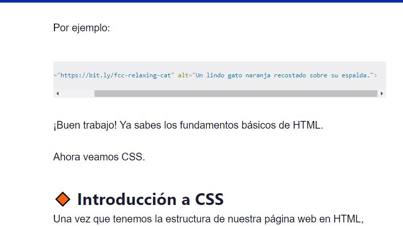 DmZXIII's tweet photo. #100DaysOfCode #programacion 
#HTML #cursohtml #repaso #CSS 
#freecodecamp https://t.co/btsfDtOvE8