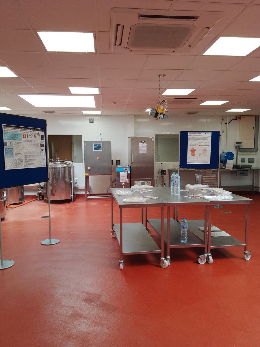 Rachel Hilton tweet media