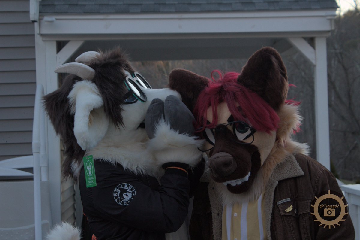 Timey021's tweet image. Group photos 1! 
Check out @harvey.hyena and @killmecarrots on Instagram. Photos taken by yours truly. Hit me up on telegram at @Timey02 if you want your photo taken!