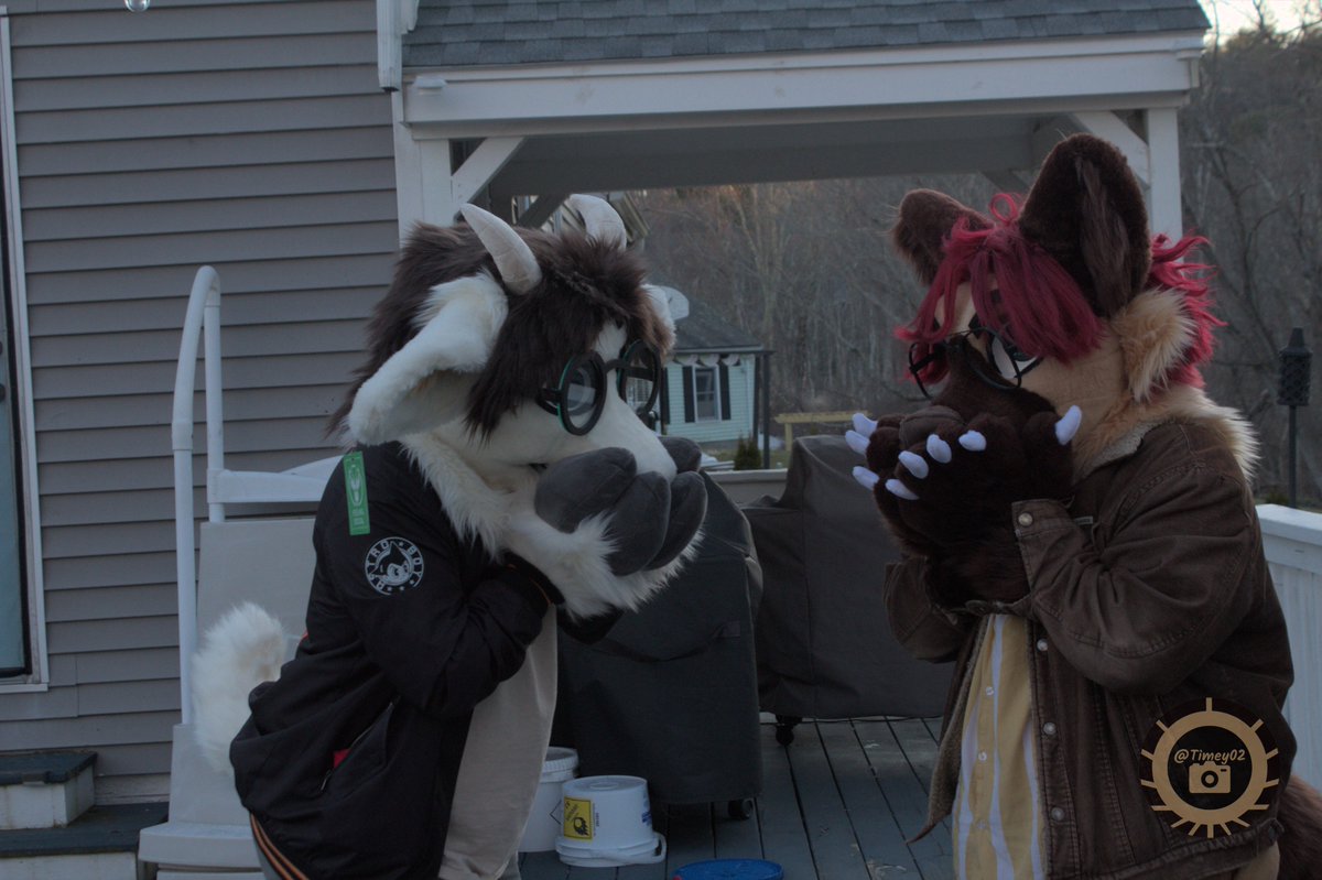 Timey021's tweet image. Group photos 1! 
Check out @harvey.hyena and @killmecarrots on Instagram. Photos taken by yours truly. Hit me up on telegram at @Timey02 if you want your photo taken!