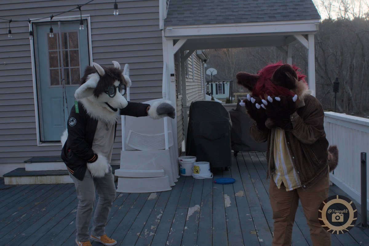 Timey021's tweet image. Group photos 1! 
Check out @harvey.hyena and @killmecarrots on Instagram. Photos taken by yours truly. Hit me up on telegram at @Timey02 if you want your photo taken!