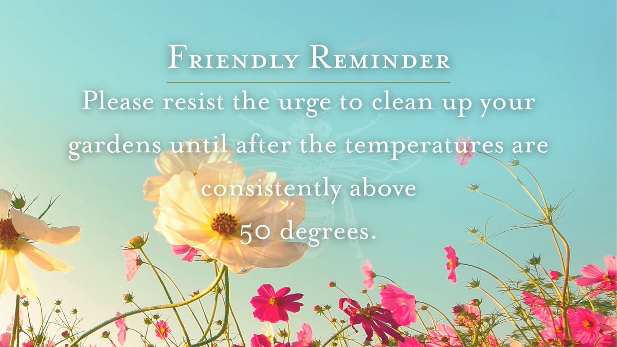 While #honeybees spend the winter in their hives for warmth, many other #pollinators overwinter in the dead leaves and debris of last year’s plants. If you clean out your #garden early you might accidentally be throwing away this year's bees, butterflies and other pollinators.🐝