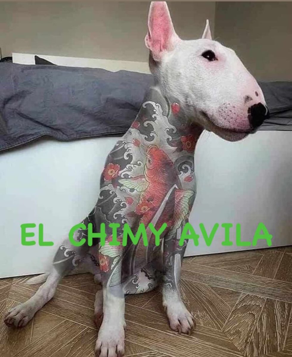 cheto 🇪🇸 (@caadeokc) on Twitter photo 