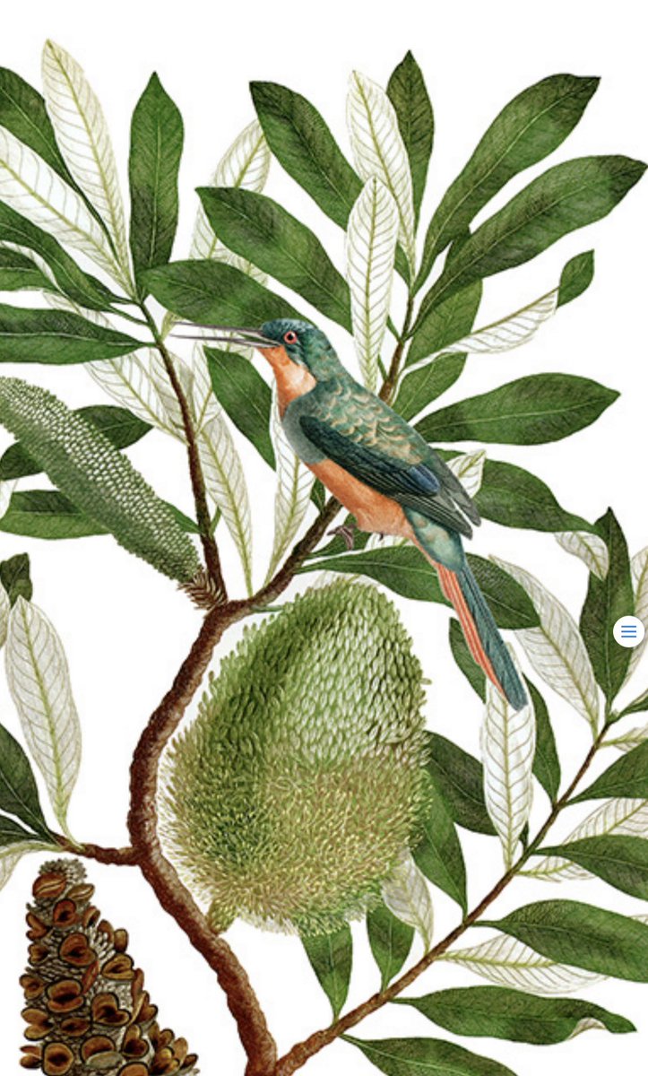 Chestnutcollect's tweet photo. The NapKing is new to Ireland and with these products being made in limited quantities these unique pieces give life to real collector’s pieces. The LOMA collection is selling out fast 😍 🦜🍃

#homeware #tabledecor #tablecloth #napkins #placemats #sustainable https://t.co/EtpdGVLxyt