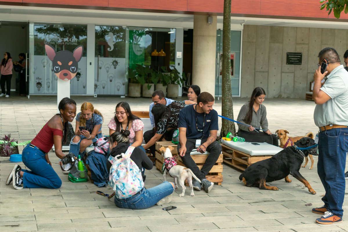 ZonamericaCO's tweet photo. #ComunidadZACO I En Zonamerica vivimos nuestro primer #DogFriendlyDay donde nuestra comunidad pudo traer a sus mascotas al Campus, para compartir juntos la jornada laboral. Contamos con Guardería, Peluquería, Veterinaria, Zonas de Juego y de Descanso, Regalos y Stands Comerciales https://t.co/wm3z11tOzQ