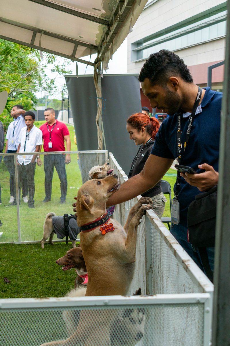 ZonamericaCO's tweet photo. #ComunidadZACO I En Zonamerica vivimos nuestro primer #DogFriendlyDay donde nuestra comunidad pudo traer a sus mascotas al Campus, para compartir juntos la jornada laboral. Contamos con Guardería, Peluquería, Veterinaria, Zonas de Juego y de Descanso, Regalos y Stands Comerciales https://t.co/wm3z11tOzQ