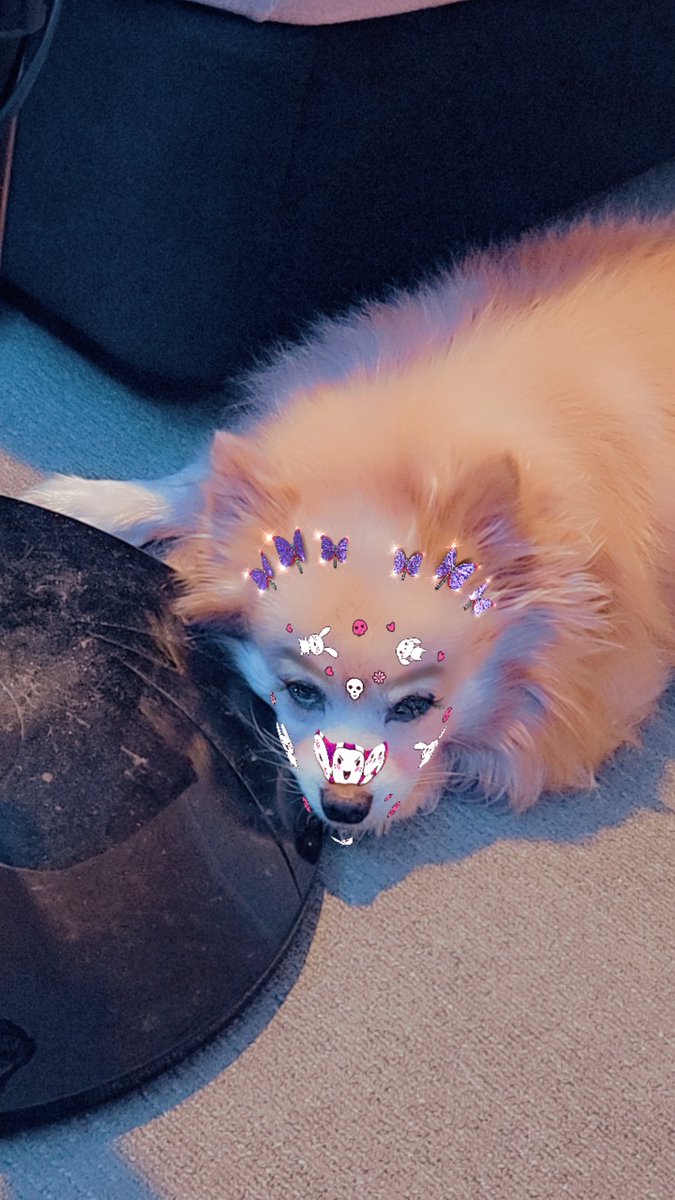 AnimeKittyLissy's tweet photo. Dad comes home today!!!!! So hyped https://t.co/hDCefqf9OQ