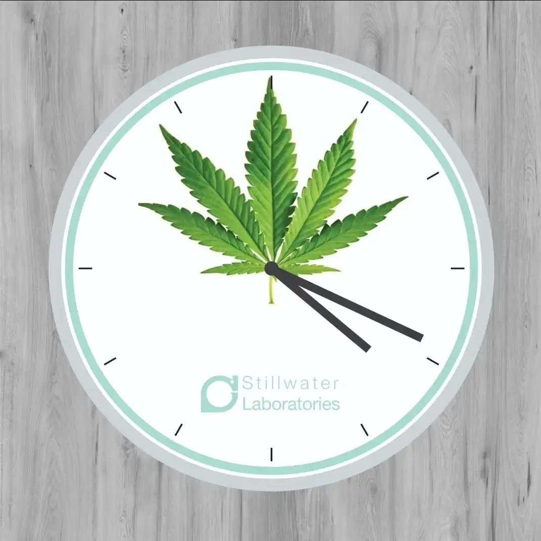 It's  almost that time again! Order your tests now to be ready for 4/20.

Email: info@stwlabs.com
Phone: 406-881-2019

#montanacannabiscommunity #montanamarijuana #montanamedicalmarijuana #montanacannabis #montanacanna #medicalcannabis #medicalmarijuana #marijuanamovement