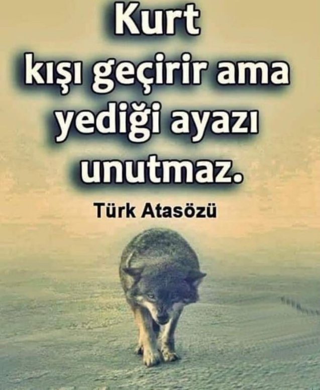 birol32's tweet photo. @MoonkhanAksoy @kilicdarogluk @meral_aksener @RTErdogan @dbdevletbahceli https://t.co/uAQlPboRAZ