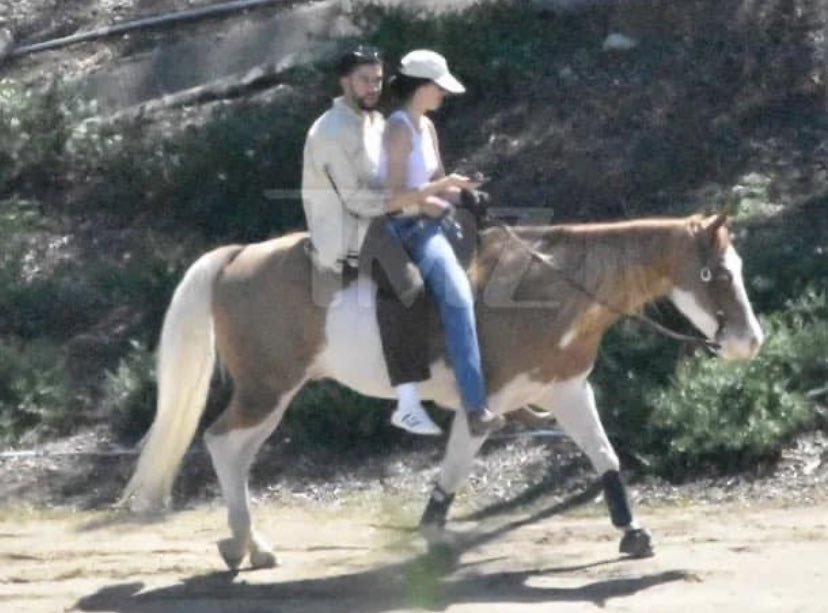 No Kris Jenner, ahora si no, por más que intentes hacernos creer que Kendall Jenner es chill nomas no lo voy a creer