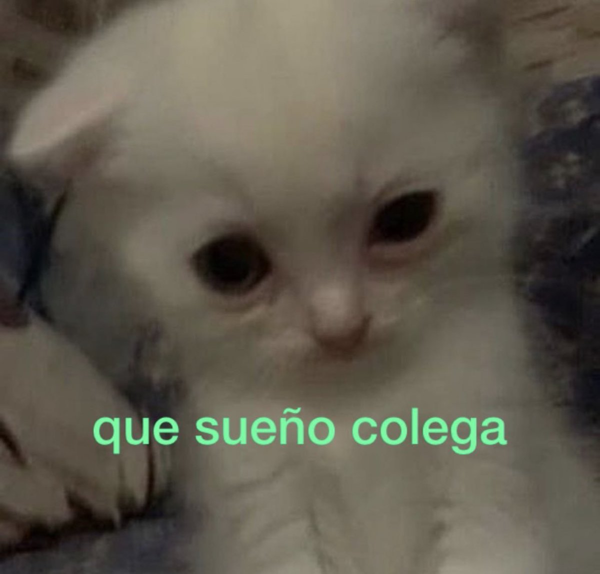 a mimir