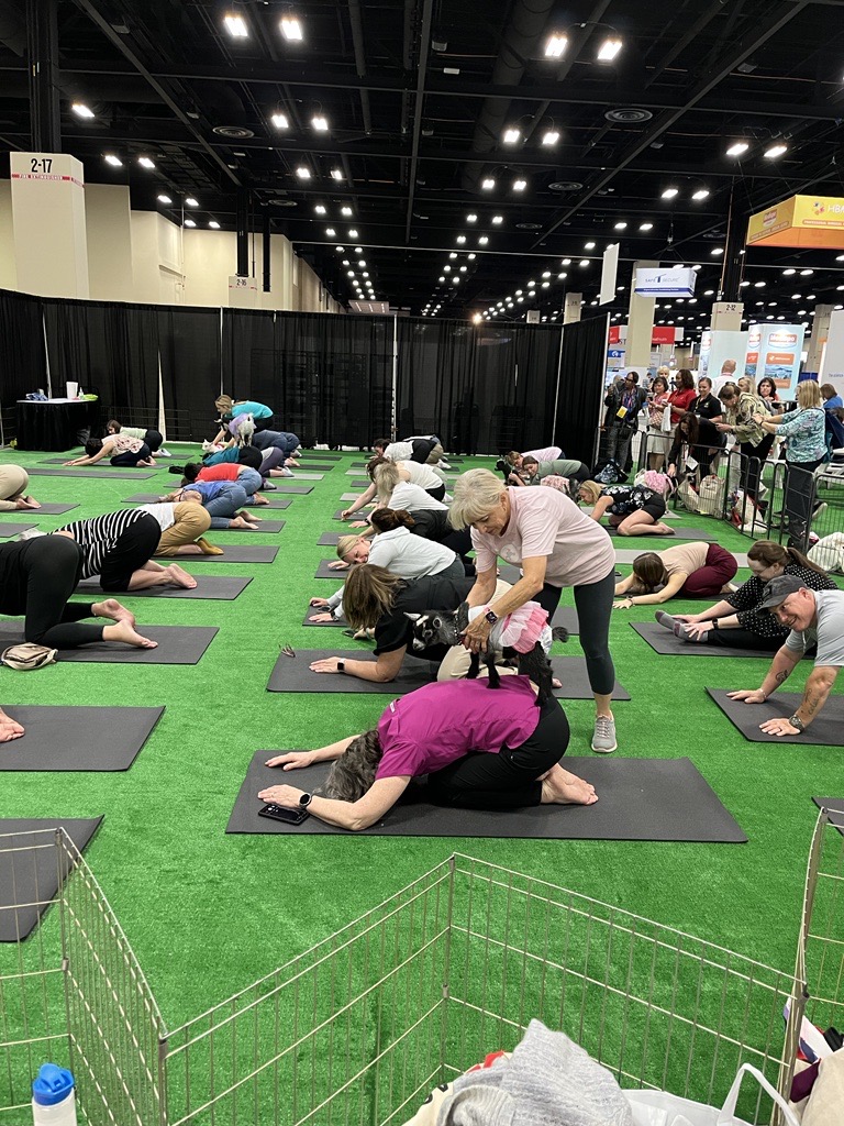 InnoviaMedical's tweet photo. #Thankyou to everyone who visited us at #AORN2023! It was great to meet so many of you and learn about your experiences in the #healthcare industry. Each of you made this year's event a huge success! 🎉
#sterileprocessing #InstruSafe #InnoviaMedical #networking #PatientSafety https://t.co/r52HzyTsFv