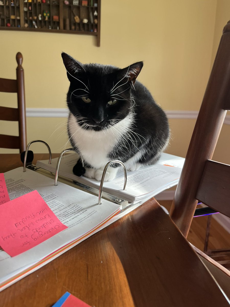 Mrs_York_art's tweet photo. I hired a consultant to proofread my National Board work. She accepts treats as a form of payment but is incredibly judgmental. 😹#nbct #helpercat https://t.co/ai48DSH8sb