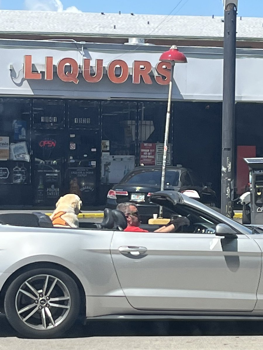 ilarasa's tweet photo. Just saw a beautiful Labrador cruising through Little Havana with his fancy human driver in a sports car! Miami dogs are living their best lives ๐พ๐ด #MiamiDogs #LittleHavana #LivingTheDream https://t.co/gTWWozGmvp