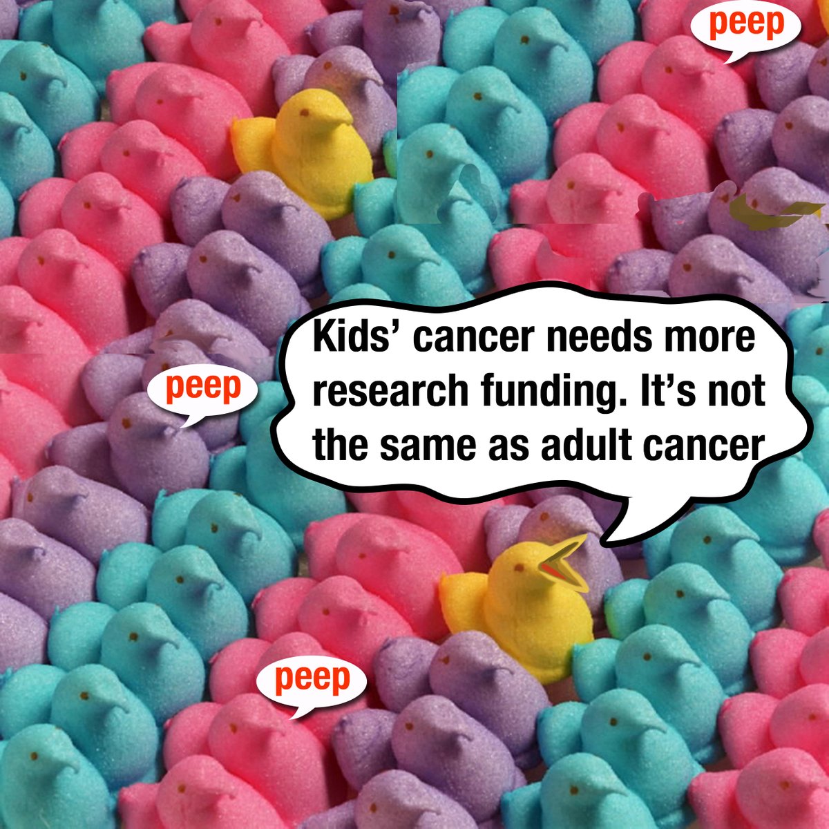 JoeBaber1's tweet image. Speak up for kids fighting cancer. Adult cancer and #ChildhoodCancer are not the same... How come adults have over 208 drugs, while kids only have 6 specifically for their cancers? @HappyQuailPress @cac2org  @mary_lckc @marb1111 @JanHalash @JaneFos79679887 @TCellALLMom