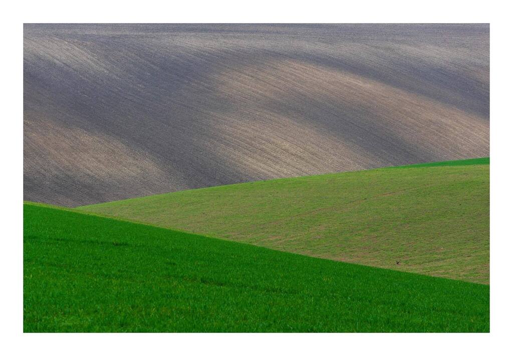 Yorkshire Wolds photo workshop last weekend with some challenging light but massively helped by @davidspeightphotography #yorkshirewolds #green #abstract instagr.am/p/CqoPvSTtnHv/