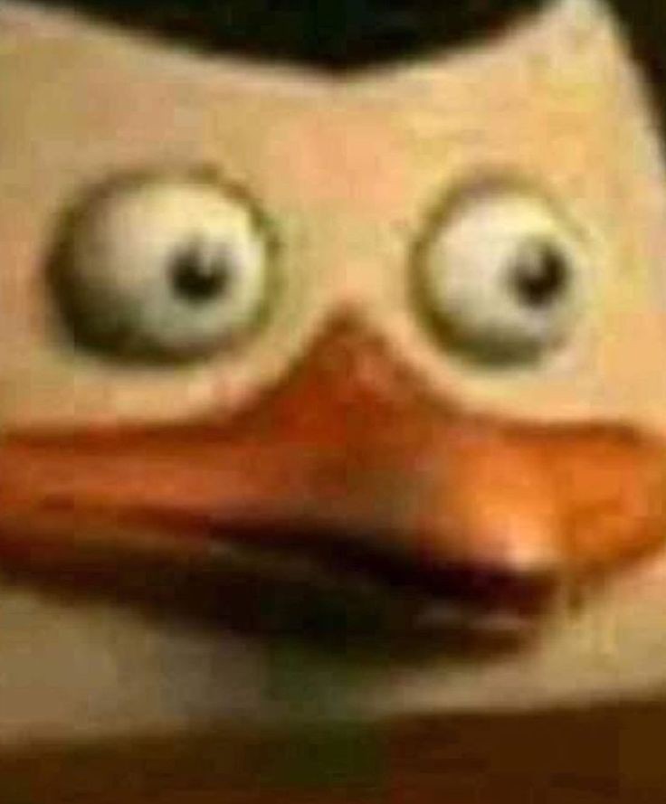 AndromedaHcs's tweet photo. Kaiser: JOUI NÃO
Joui: VAI LOGO
K: NÃO
J: APERTA AS PERNAS SE NÃO VOCÊ ESCORREGA
K: EU NÃO QUERO MAIS APRENDER POLE DANCE, ME LARGA
J: SEGURA LOGO ESSA MERDA
K: TA APERTANDO MEU P-
Arthur: O q caralhos está acontecendo aqui?
K&J:
#OrdemParanormal #OShippParanormal https://t.co/6DZfAgQZe9