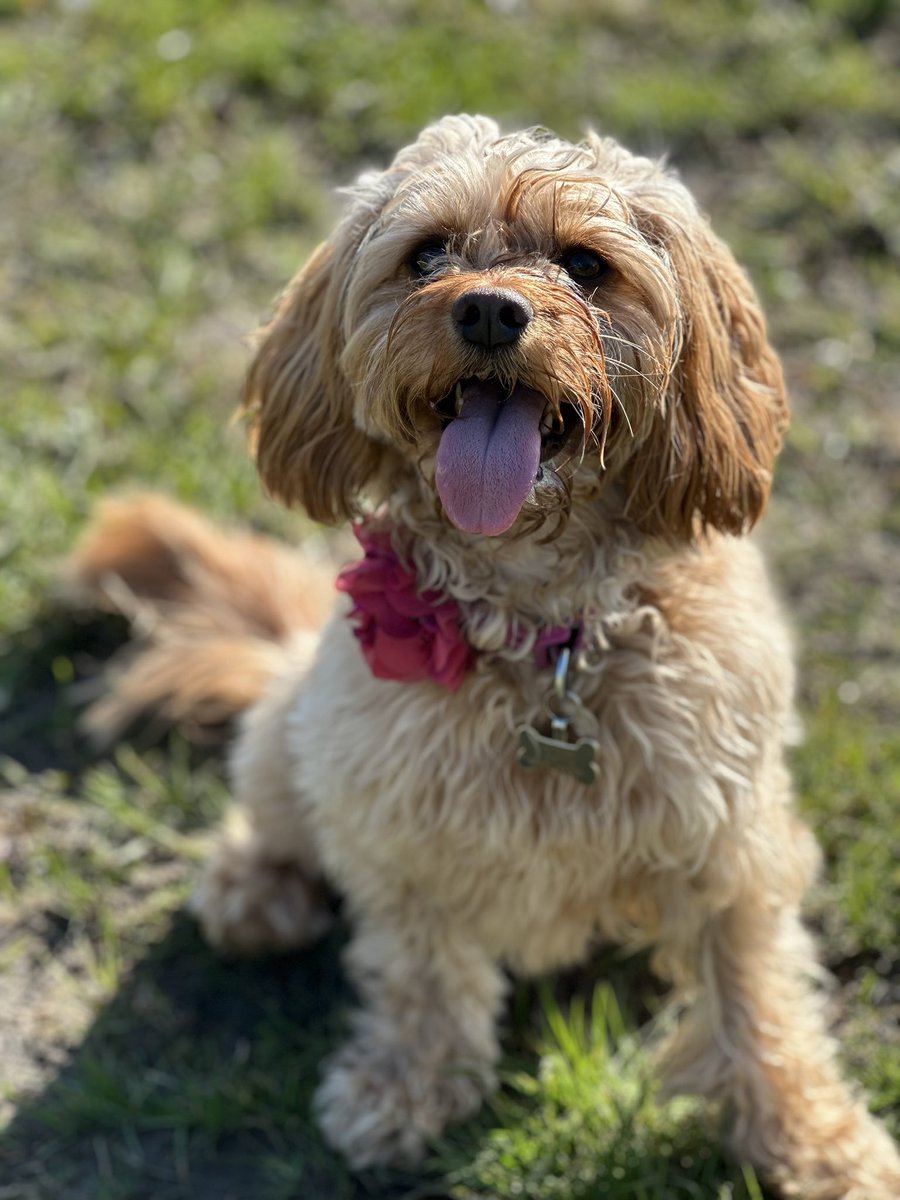 Easter holidays 🥰, could she get any cuter