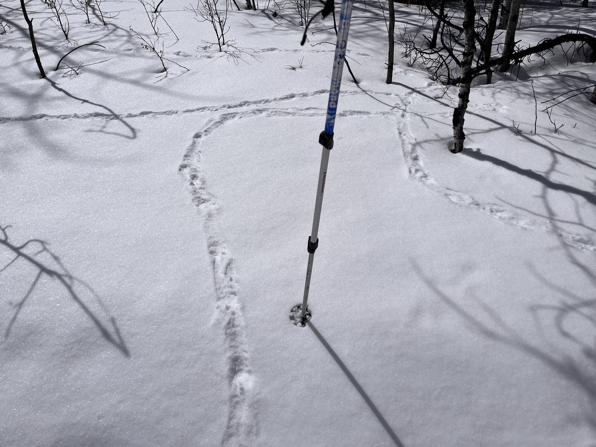 Derek Ryder tweet media