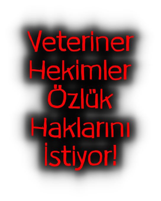 VetSagCalYpr's tweet photo. Sanmayın ki, sağlık meslekleri arasında özlük hakkı düzenlemesinde sürekli yaptığınız bu ayrımcılığın farkında değiliz!

Sanmayın ki, ‘biz yaptık oldu’ anlayışı hep tutar!

#VeterinerHekimler mücadeleyi asla bırakmayacaklar, haklarına er veya geç bir gün mutlaka kavuşacaklardır. https://t.co/3wPm055wsk