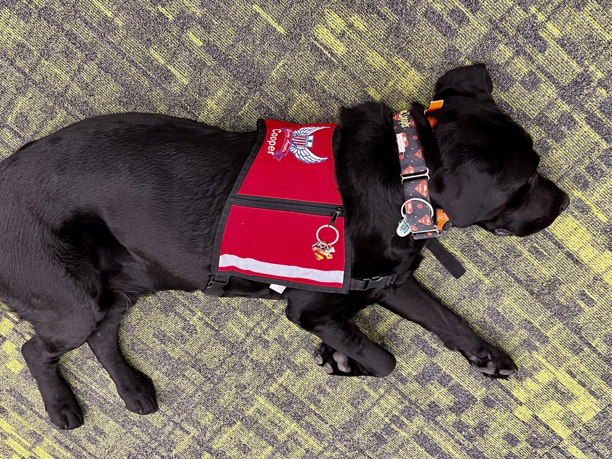 kallen4775's tweet photo. Resting up before the kids arrive! #readingpaws #dogsoftwitter #therapydogs https://t.co/51H0nht2ui