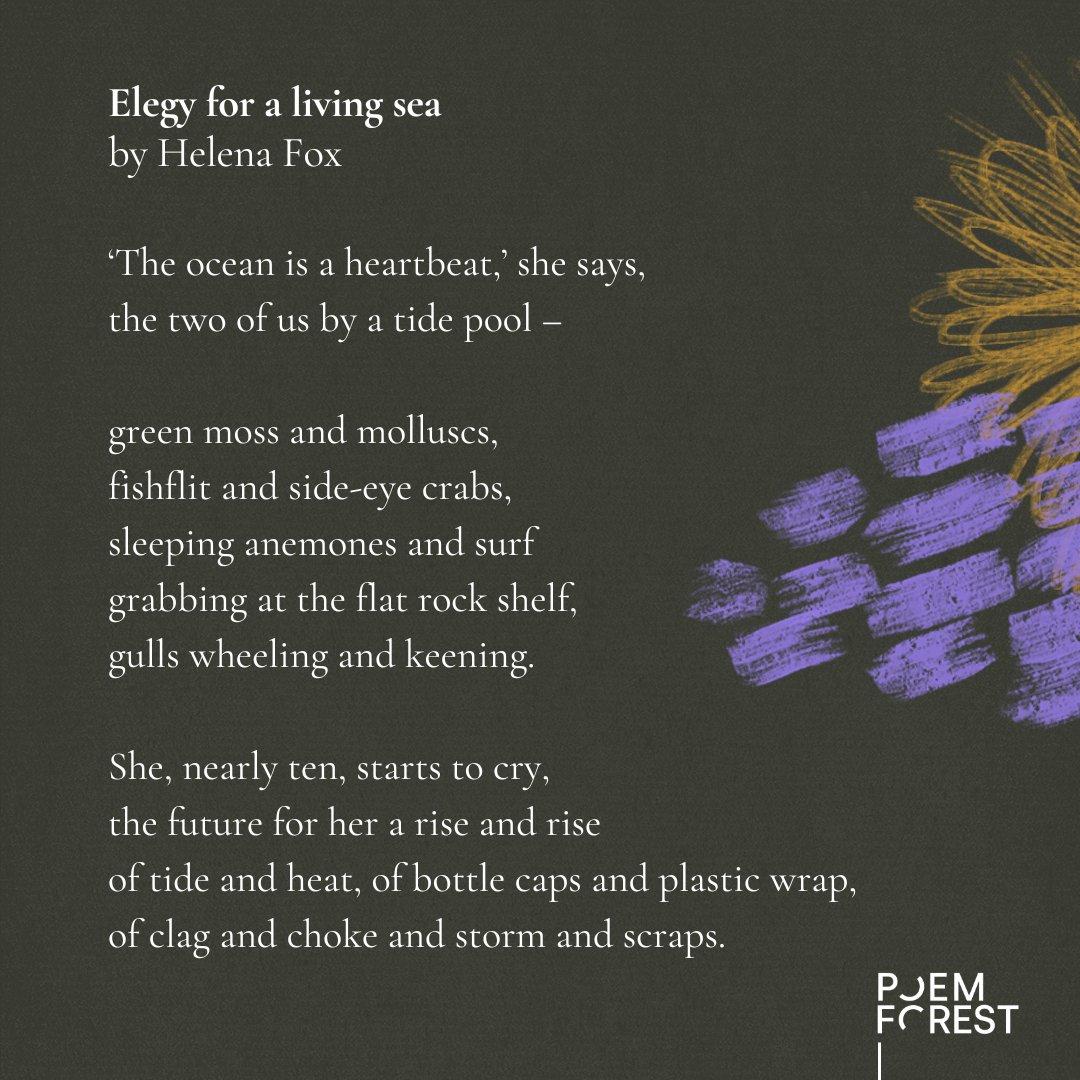 RedRoomPoetry's tweet photo. Enjoy 'Elegy for a living sea' by novelist, poet and creative writing mentor @helenafoxoz, commissioned for #POEMFOREST 2023: https://t.co/s2VKkWl6OT

#Poetry #poem #ClimateAction #POEMFOREST #PoetryforChange #SubmissionsOpen #subsopen #poetrysubs #youthgpoetry https://t.co/z4xUaLiRtn