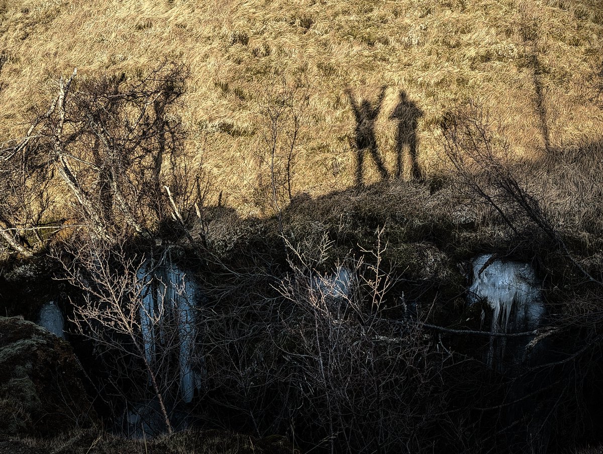 Hannеs Hauswedell | mastodon.social/@__h2__ (@__h2__) on Twitter photo The last stop on the Southeastern #Iceland trip was Nauthúsagil.
It's about 20min off the ring road behind Seljalandsfoss, and in contrast to the latter sees almost no visitors at all.
#Ice #Hiking #Photography #Shadows The last stop on the Southeastern #Iceland trip was Nauthúsagil.
It's about 20min off the ring road behind Seljalandsfoss, and in contrast to the latter sees almost no visitors at all.
#Ice #Hiking #Photography #Shadows