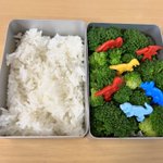 開けてびっくり!７歳児が要望したジャングル弁当!