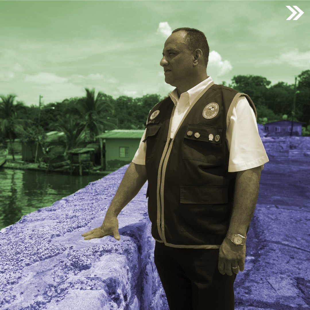 DelegadosElectorales tweet media