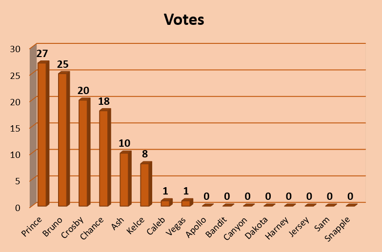 Paws_Affection's tweet photo. Latest pupdate! Things are heating up!

Remember, the top TWO names will be the winners and go to the two black lab boys! Keep voting and sharing! Voting closes tomorrow (4/5) at 7pm. 

https://t.co/jfQxl2Ip7M

*Standings as of 6:00pm on 4/4* https://t.co/mh6OgGoKQf