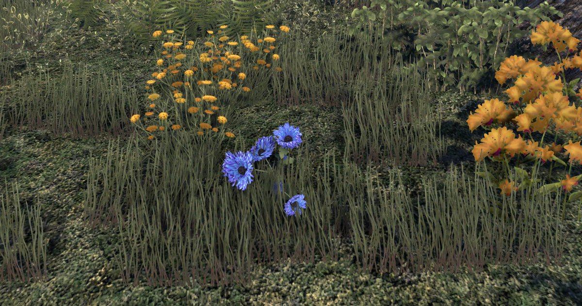cantholdaggro's tweet image. i can&apos;t..harvest this..cornflower node..in cyrodiil..

cyro 1, penguin 0

#mynode #sadpenguin #elderscrollsonline #elderscrolls #esofam