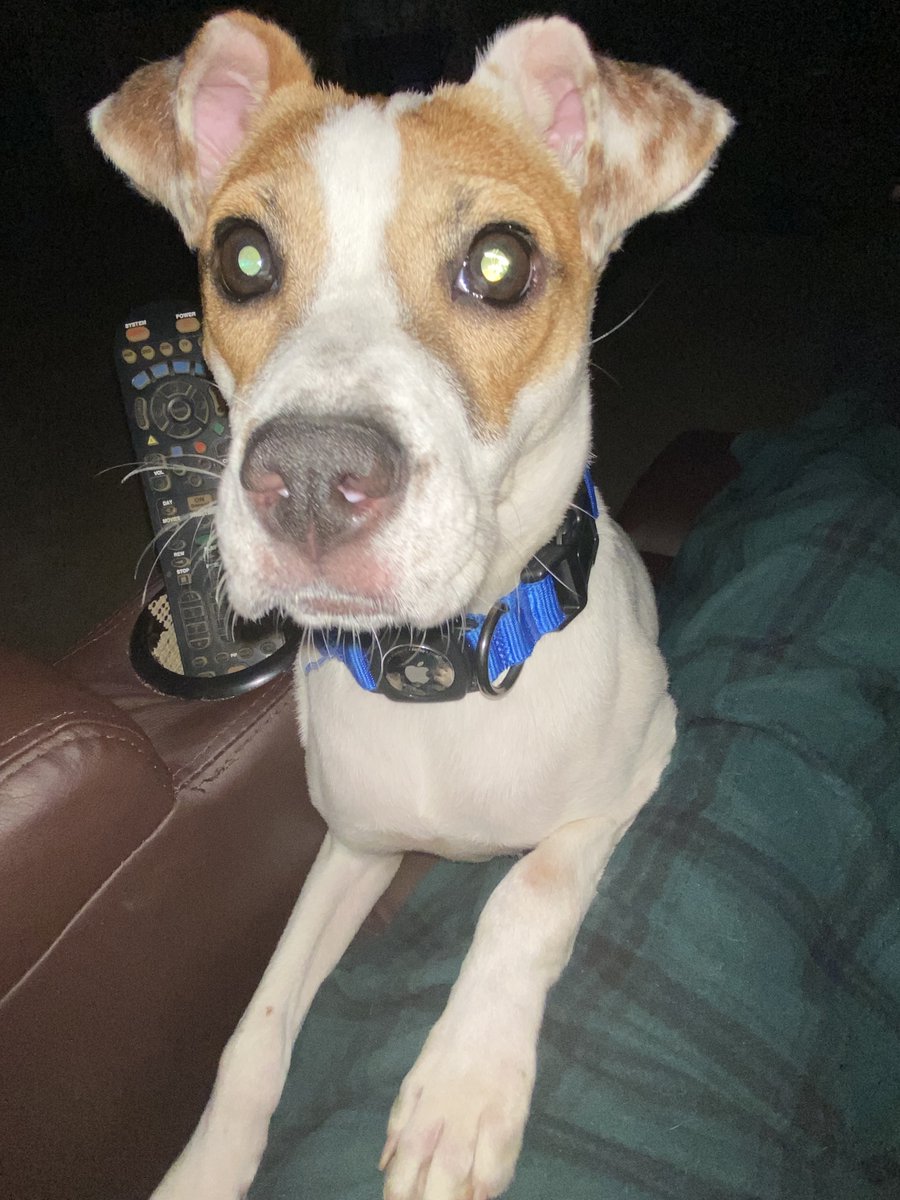 Rob La Gesse tweet media