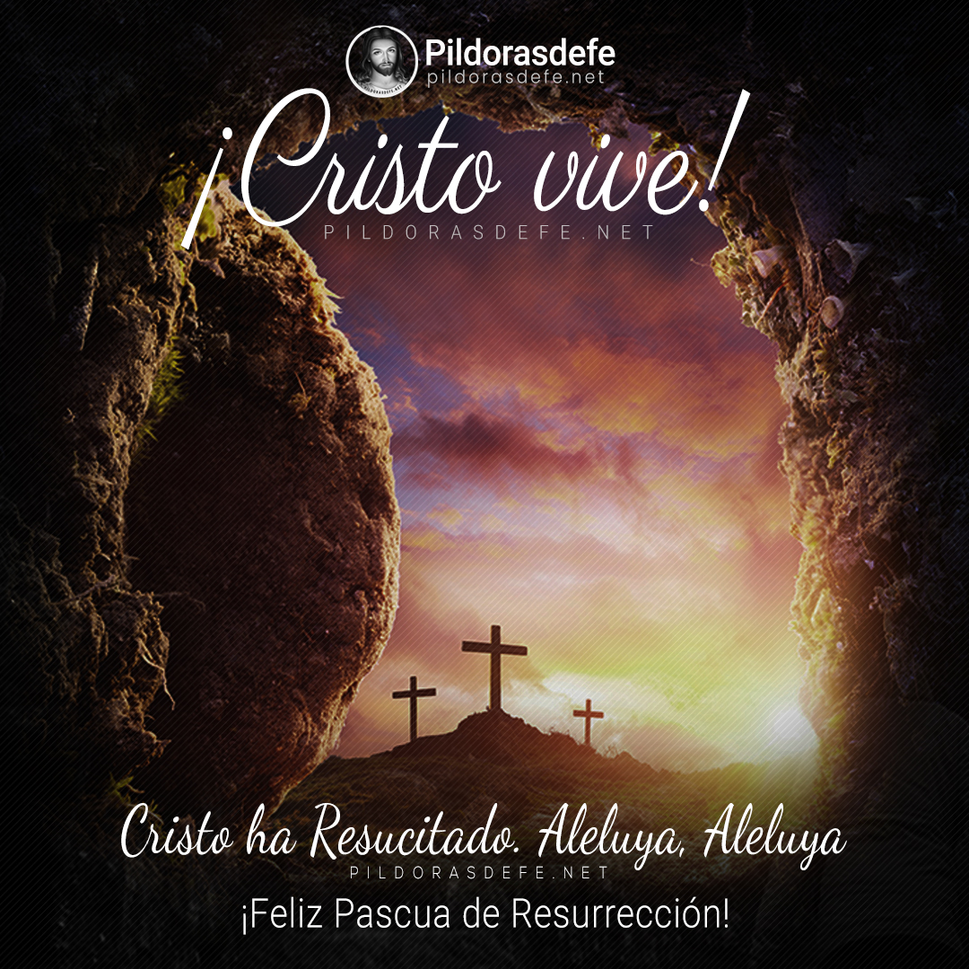 ¡Ya es Pascua en Roma! ¡Feliz Pascua de Resurrección! ¡Ha resucitado! Las tinieblas han sido vencidas y la luz vino a reina en nuestros corazones por siempre. ¡Viva Cristo Resucitado!