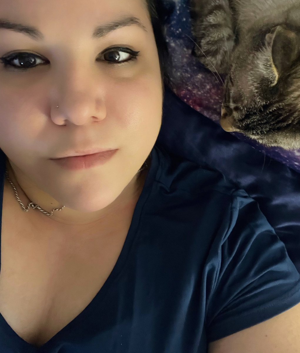 ClaraElenaDice's tweet photo. And once again, it’s #KittyTuesday https://t.co/kS9NqUoZU4